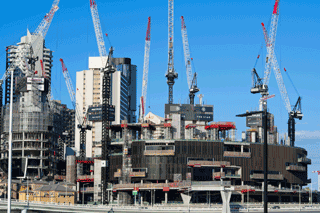 Crane Numbers Rise To Record 868